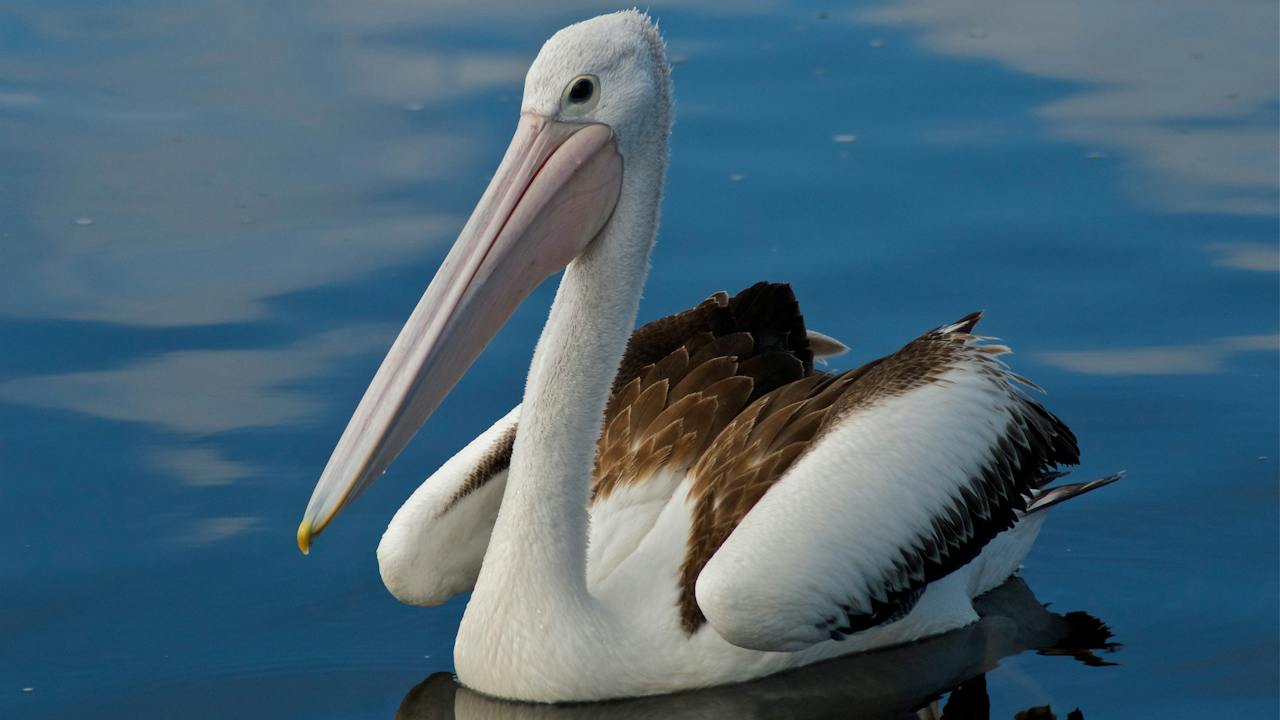 Yaringa Marine National Park