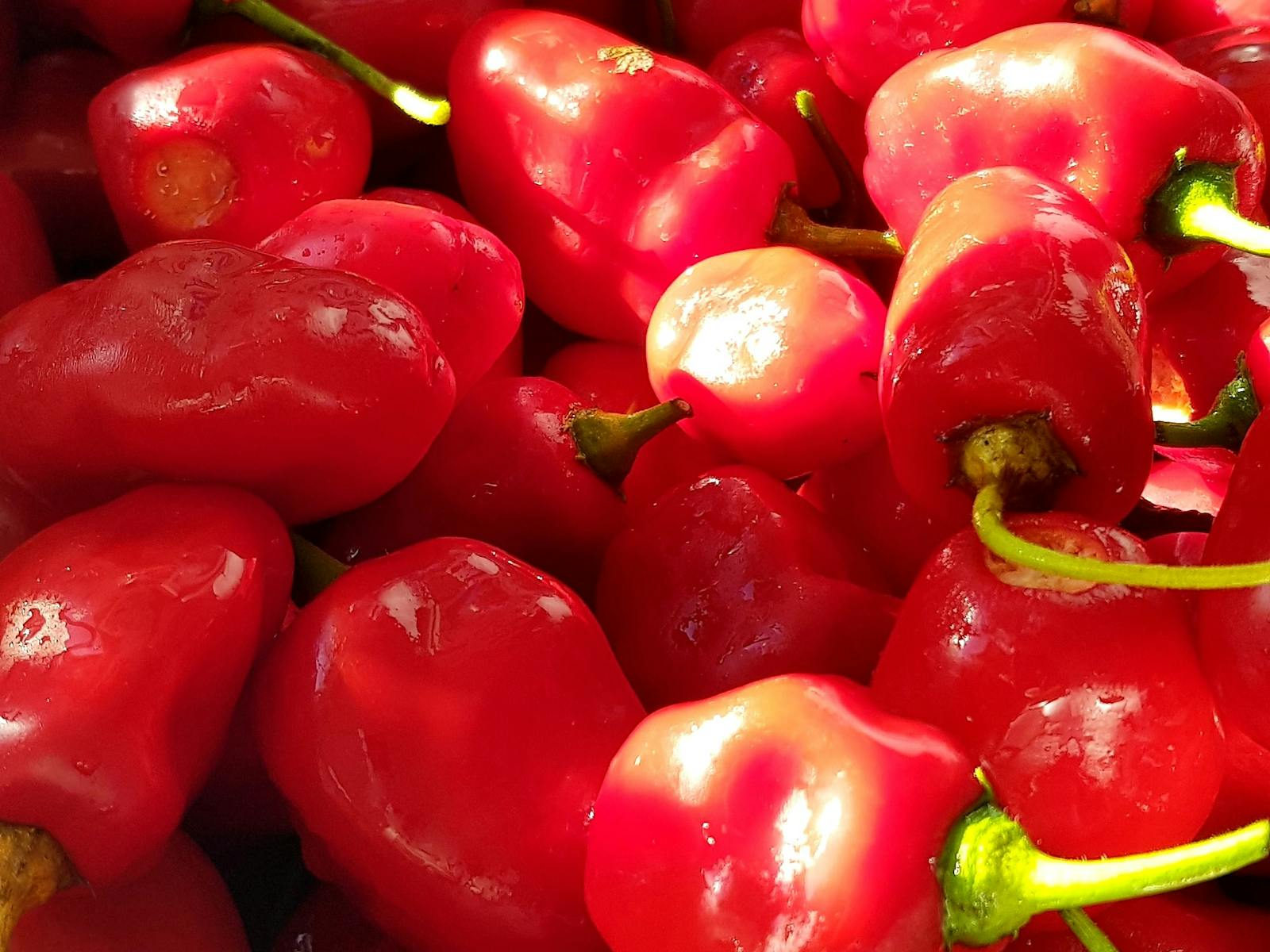 Preparing Chilli Jam