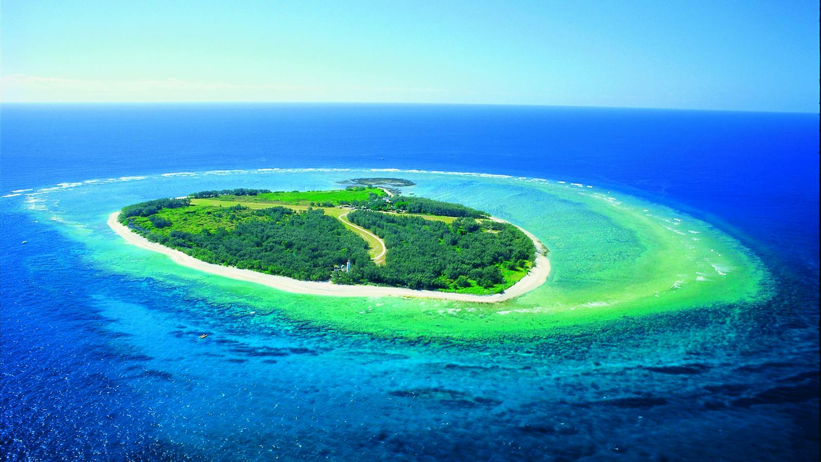 Lady Elliot Island