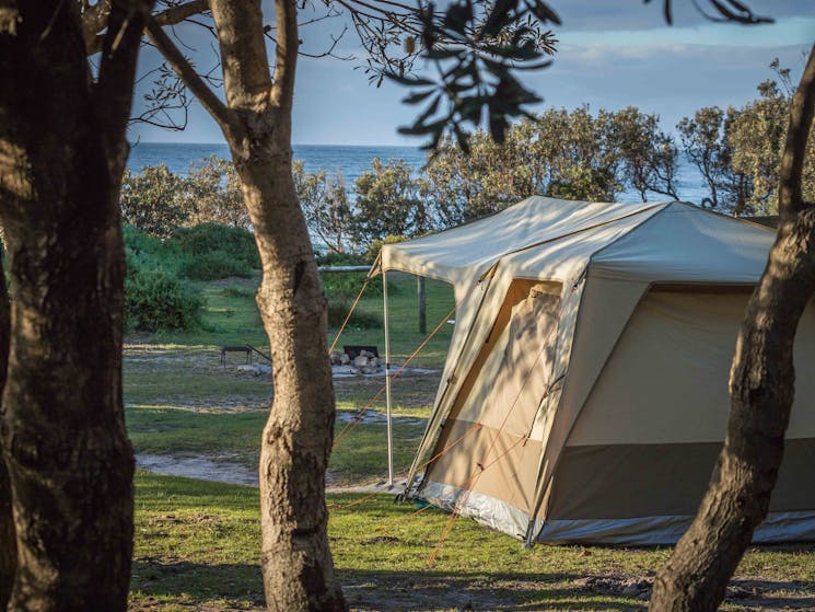 Gillards Beach, Mimosa Rocks National  Park, Tathra, Sapphire Coast