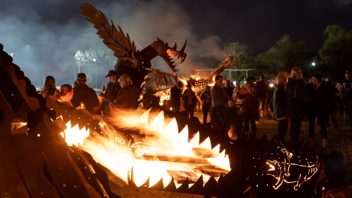 Dragon & crocodile fire sculpture