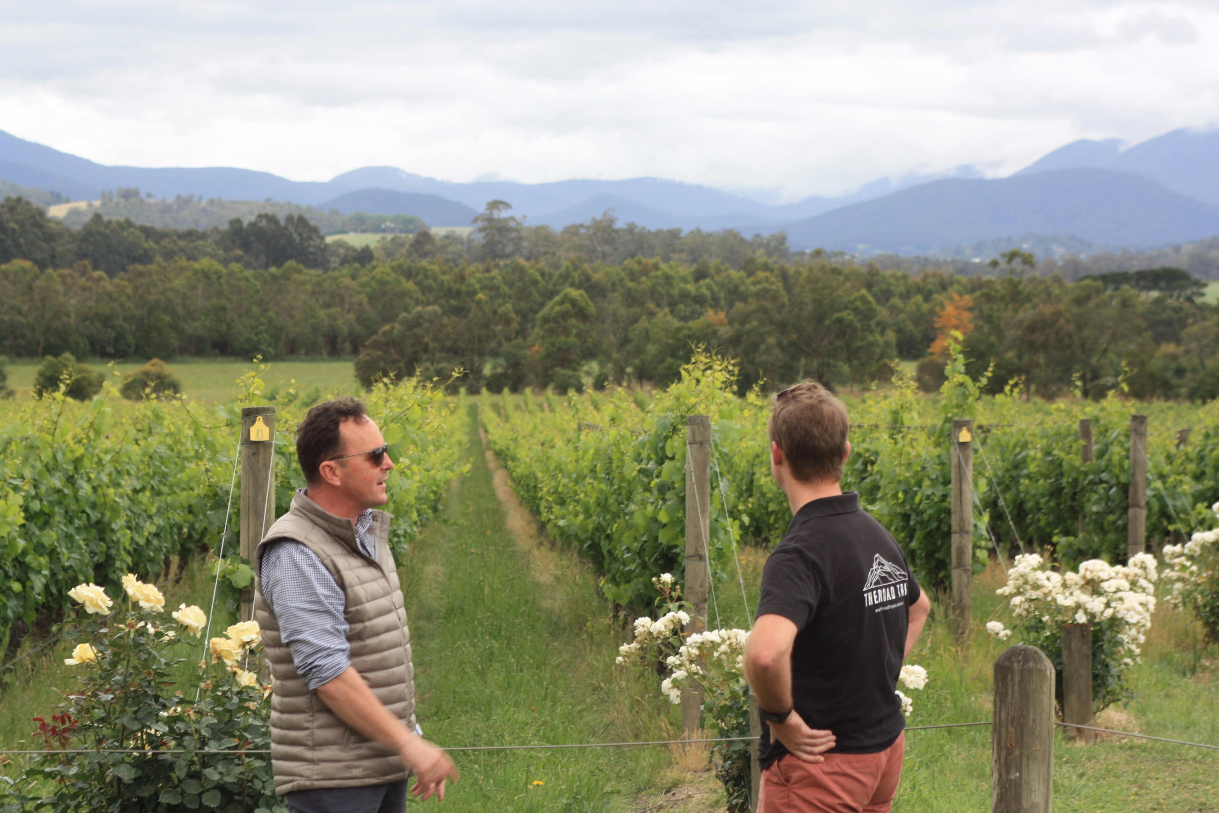 Seven Day Melbourne and Victoria Highlights Private Guided Tour