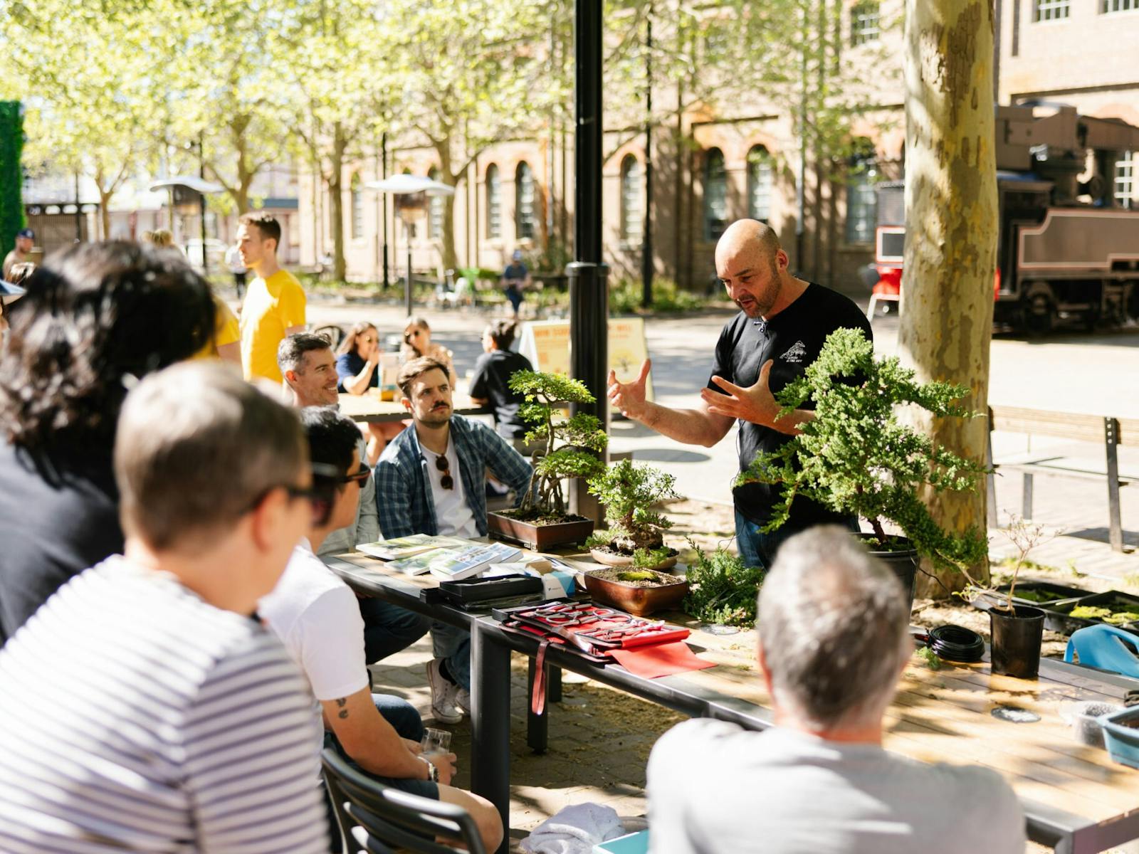 bonsai and brews experience