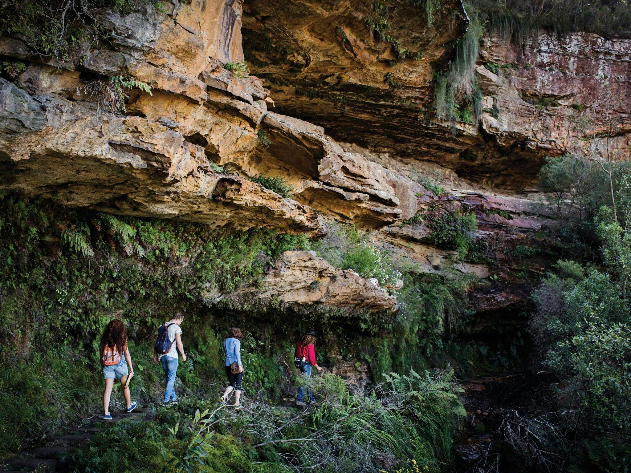 Blue Mountains