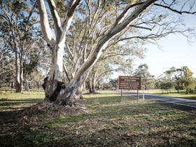 Mundulla image