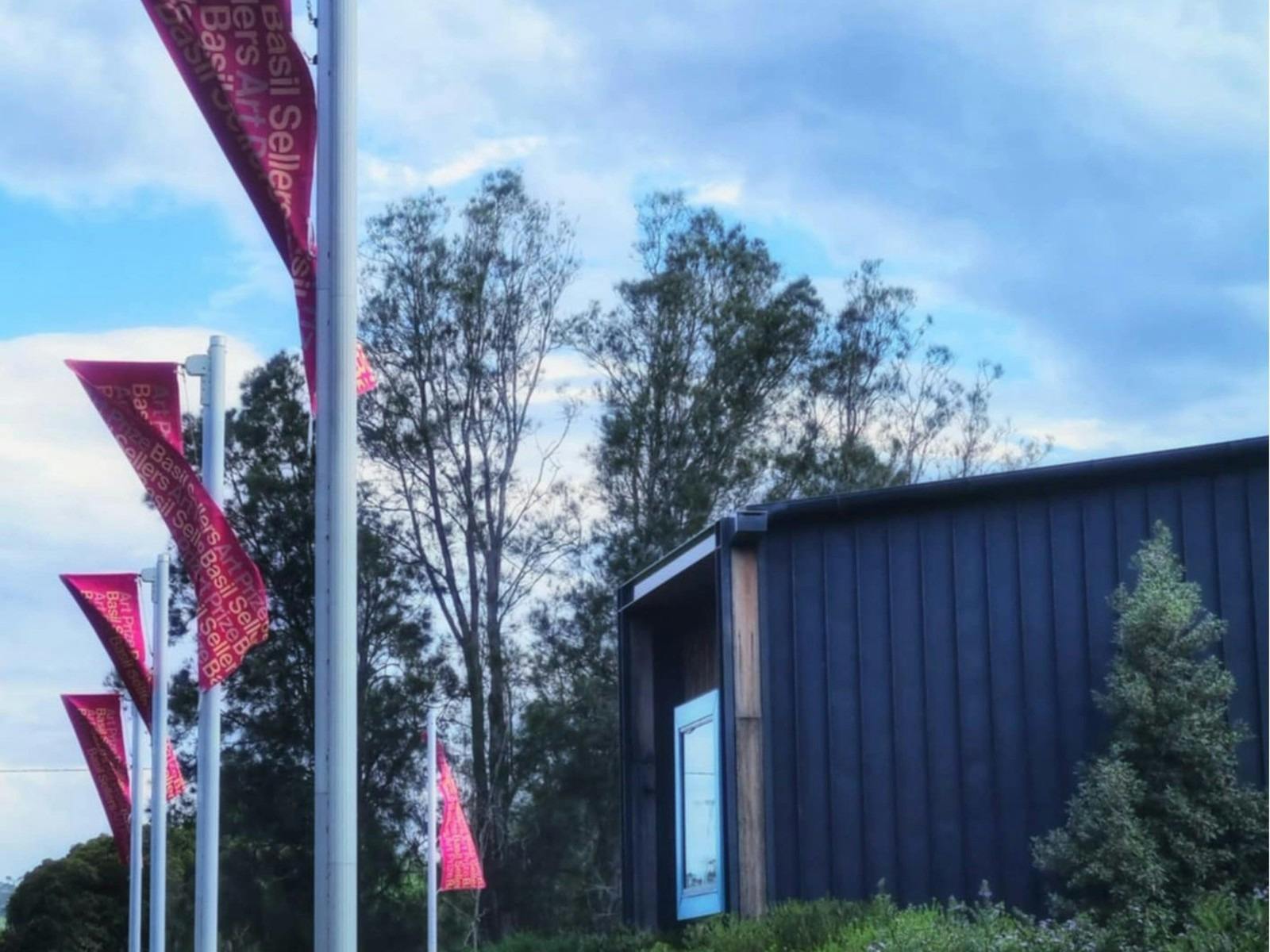 A line of raised flags promoting the Basil Sellers Art Prize outside a building.