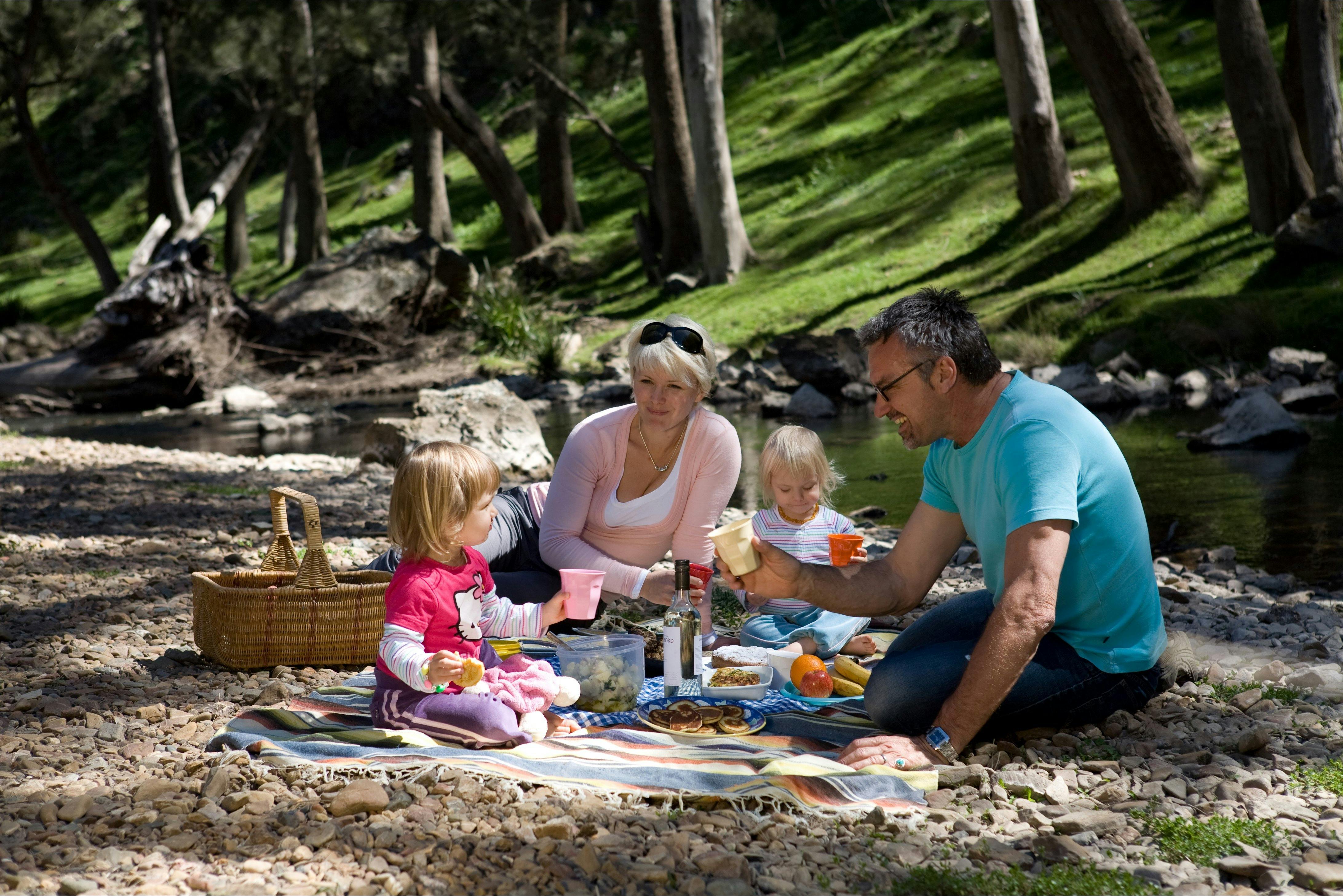 River picnic things to do with family