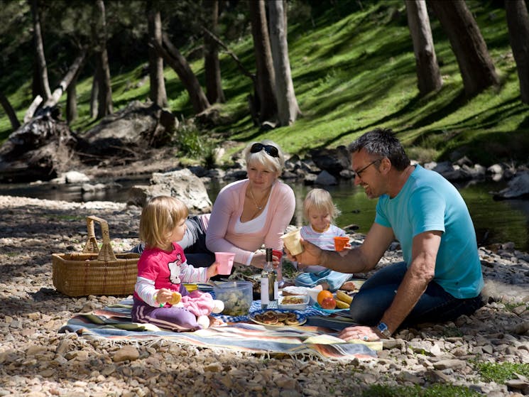 River picnic things to do with family