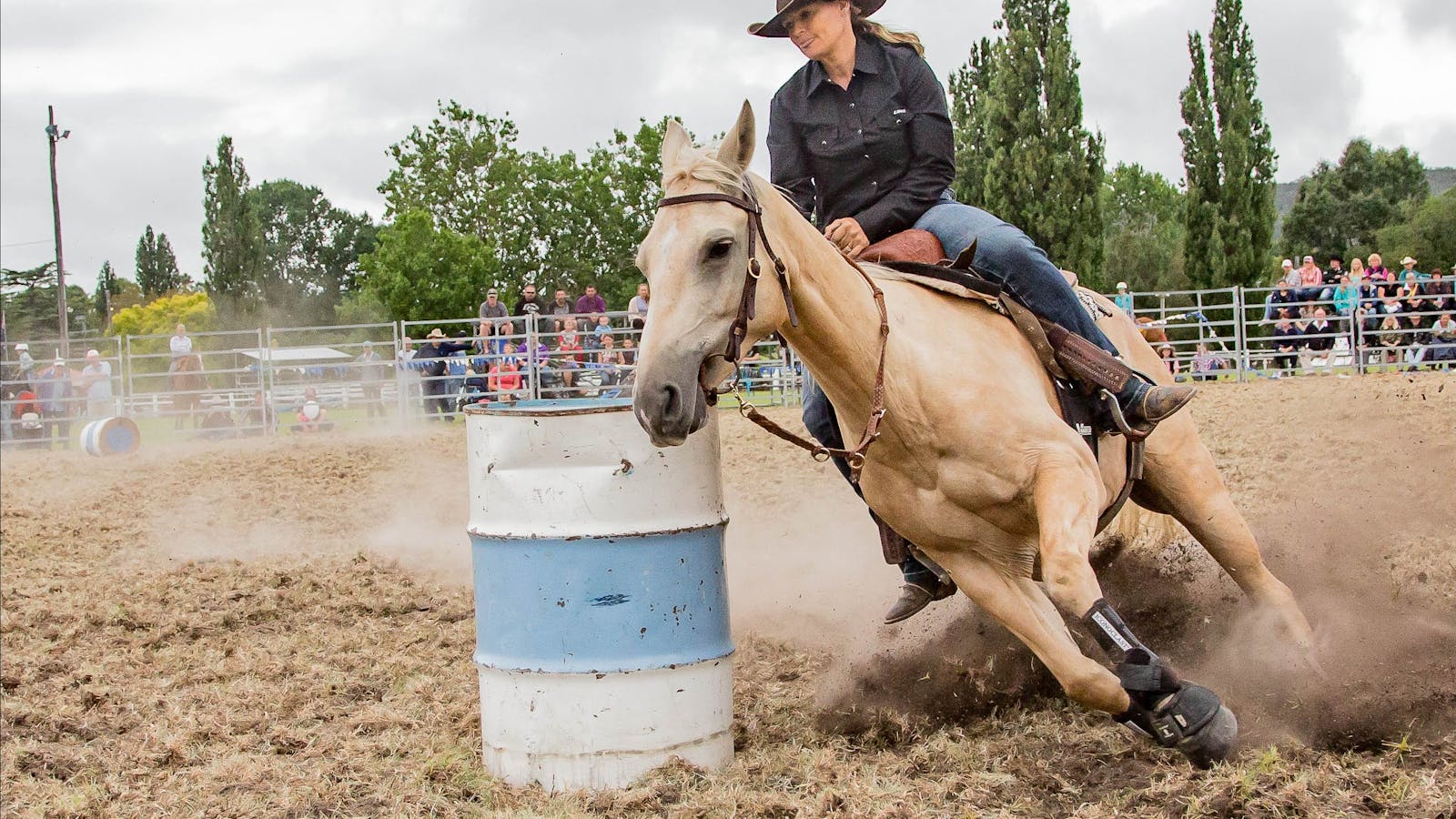 Image for Tenterfield Show