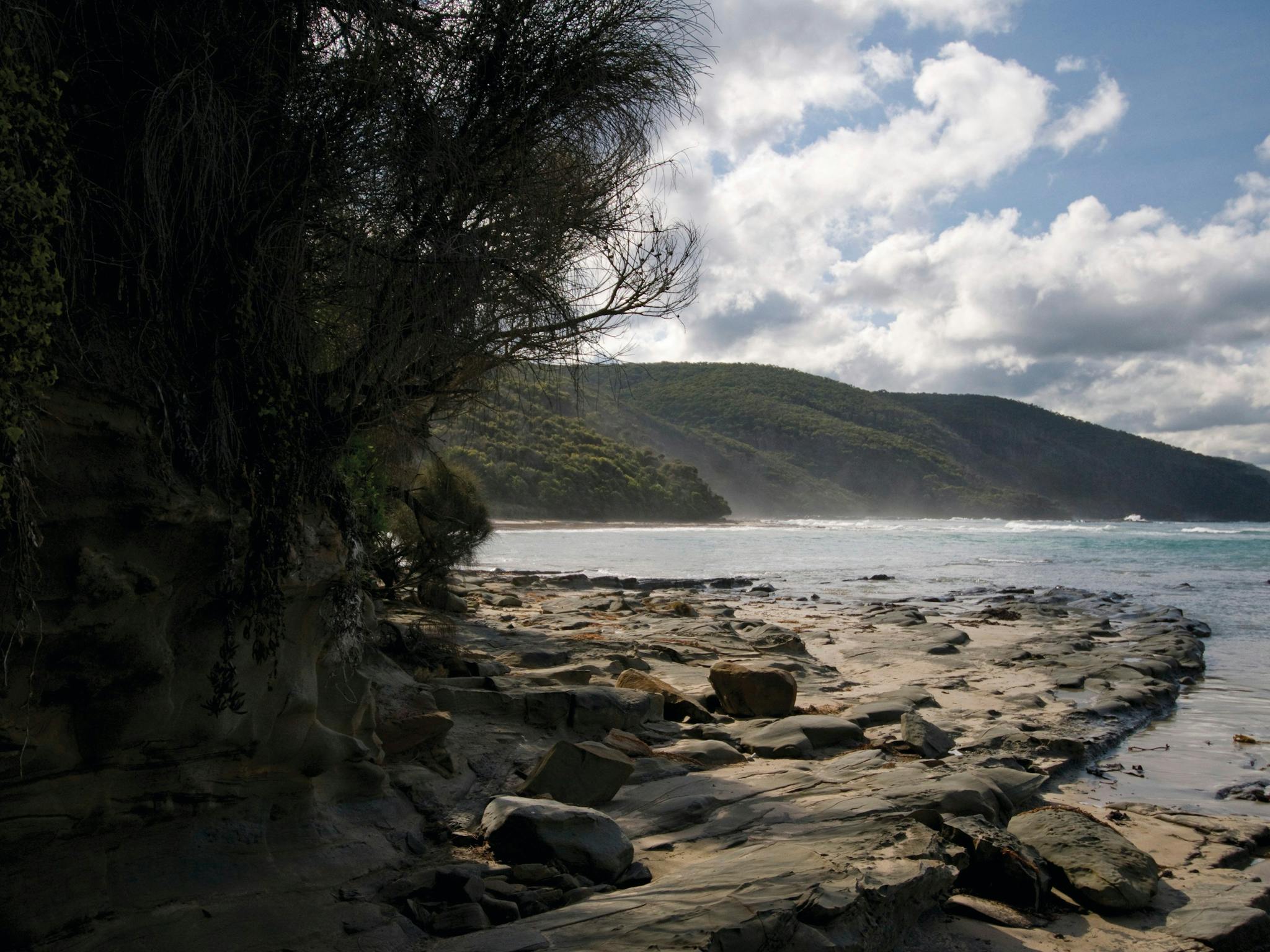 Great Otway National Park edit