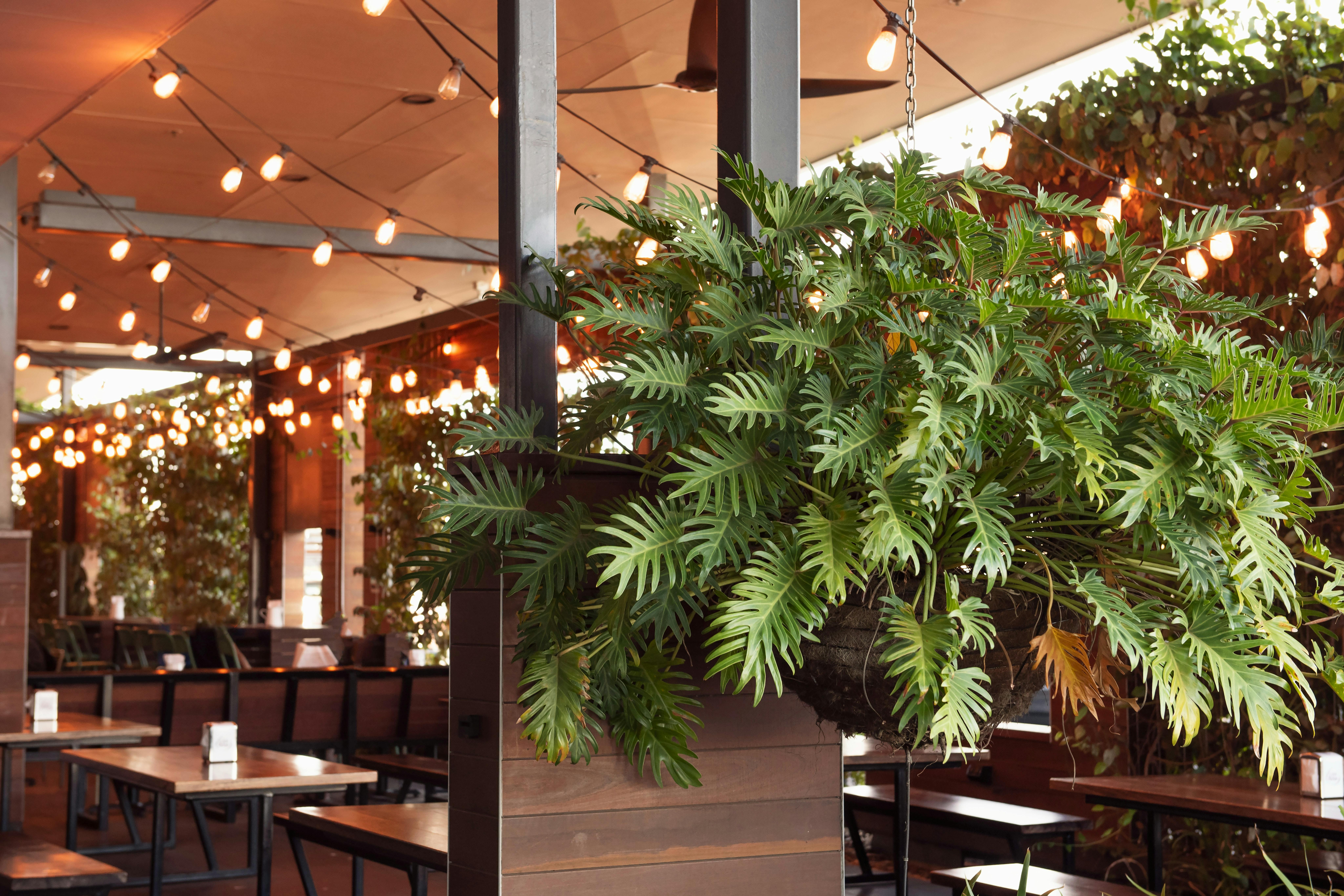 Laneway Dining Precinct