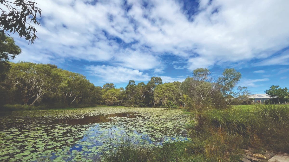 Bibimulya Wetlands Walk Bibimulya Wetlands Walk