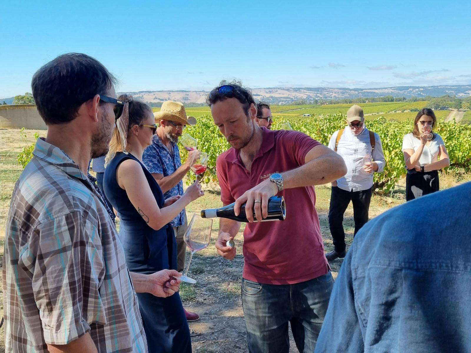 Beautiful rolling hills of grapevines and a group of people being poured wine to taste