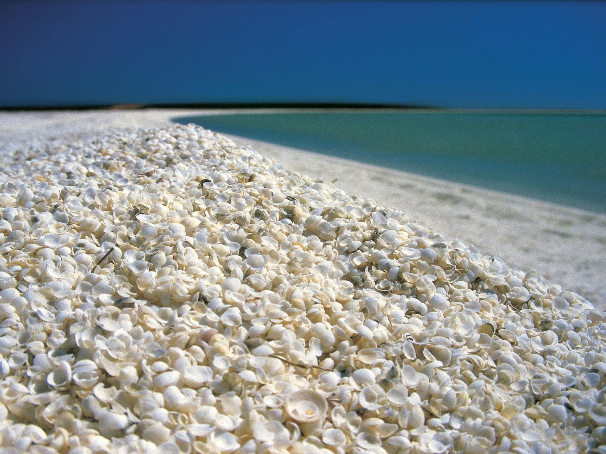 Shell Beach, Denham, Western Australia