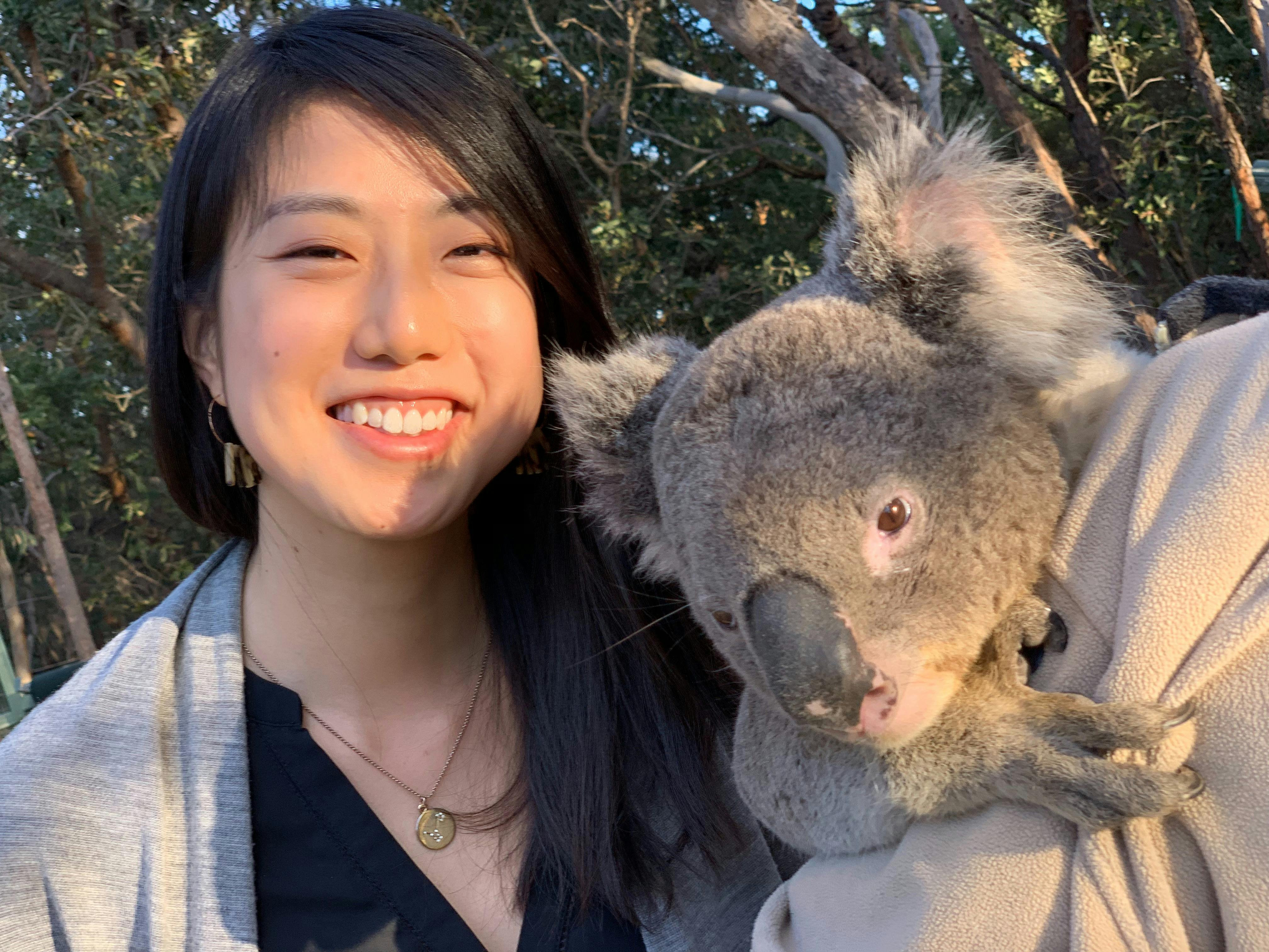 Australian Walkabout Wildlife Park koala experience  with image of koala