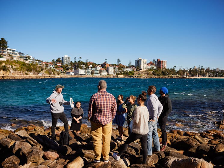 snorkel in manly on guided tour