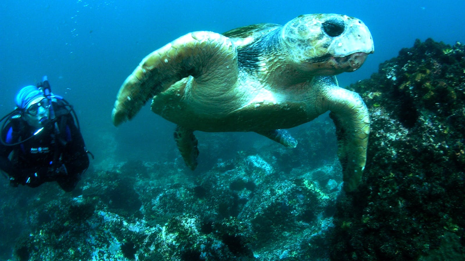 Jetty Dive Centre