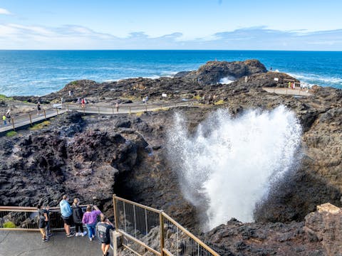 Whale Watching, Wine Tasting, Dark Night Sky Stars