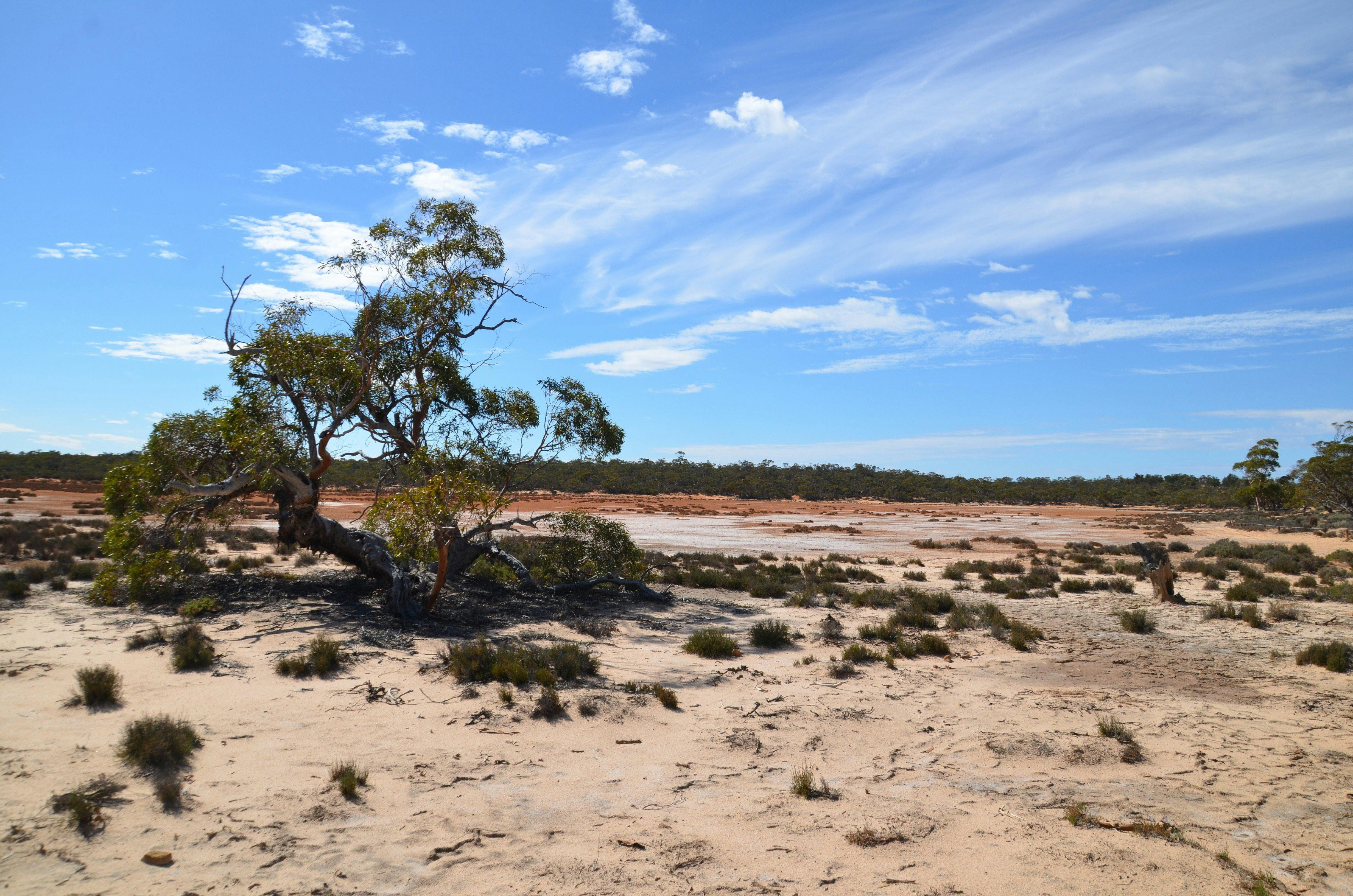 Yellabinna Regional Reserve and Wilderness Protection Area