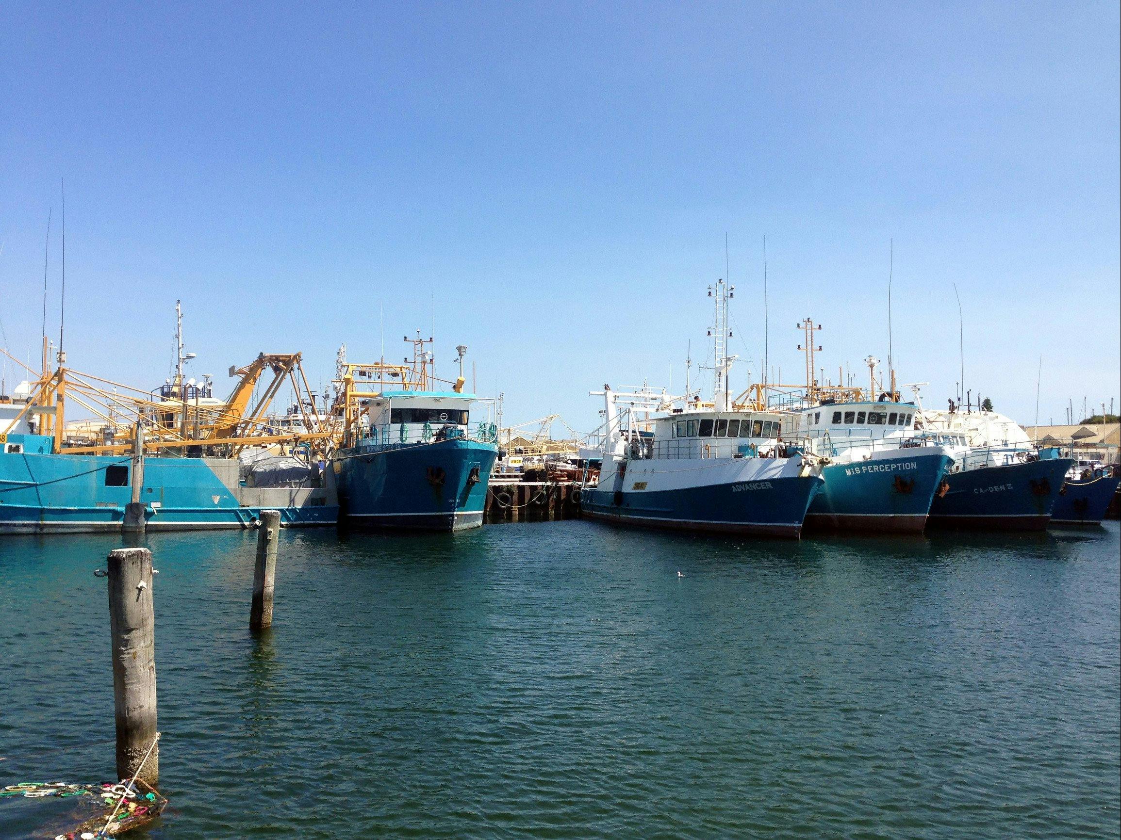 Fremantle Fishing Boat Harbour, Western Australia