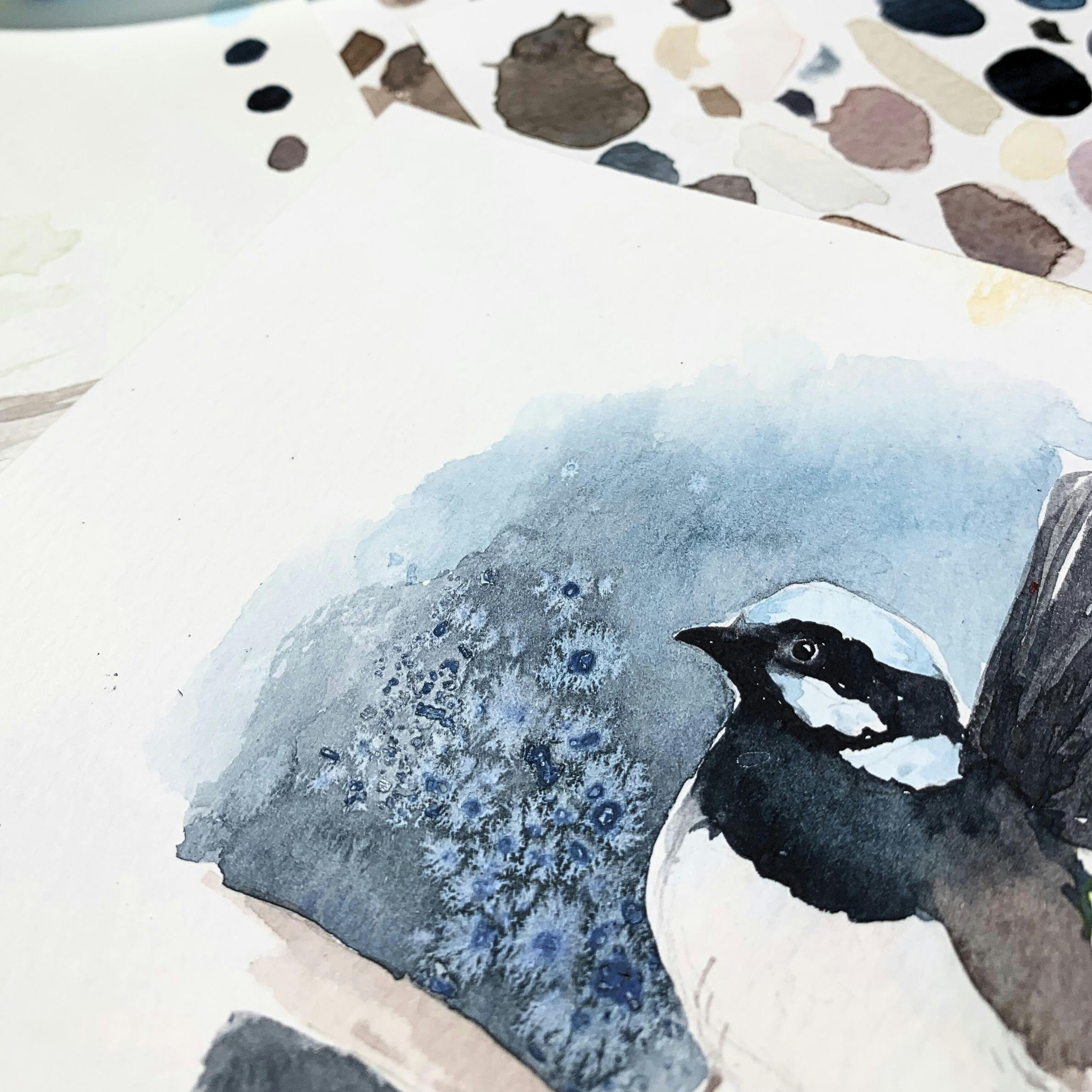 Watercolour Workshop Blue Fairy Wren - Advanced Beginner