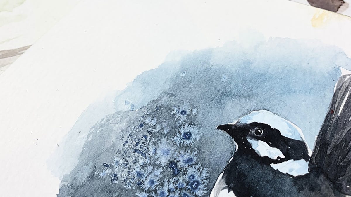 watercolour painting watercolour painting
