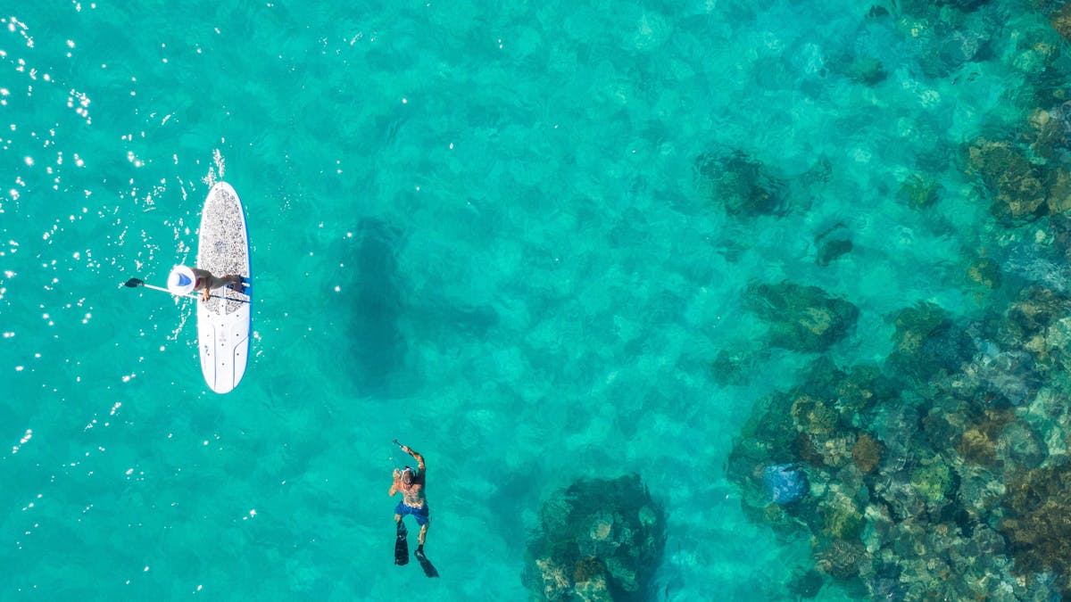 Person snorkelling in the water whilst another person is using a stand up paddle board.