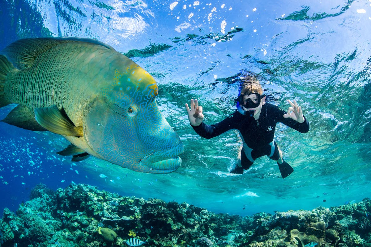 Snorkel adventures at healthy and untouched reef locations.