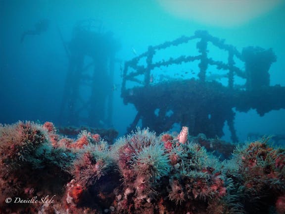 Dive the ex HMAS Adelaide