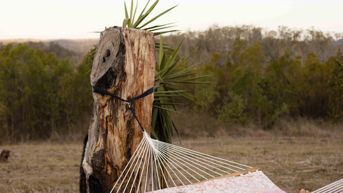 Hammock in nature
