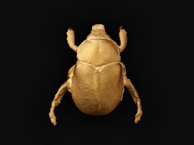 Timothy Crutchett. Gold CHristmas Beetle. 2024. Photo: Rhys Turner