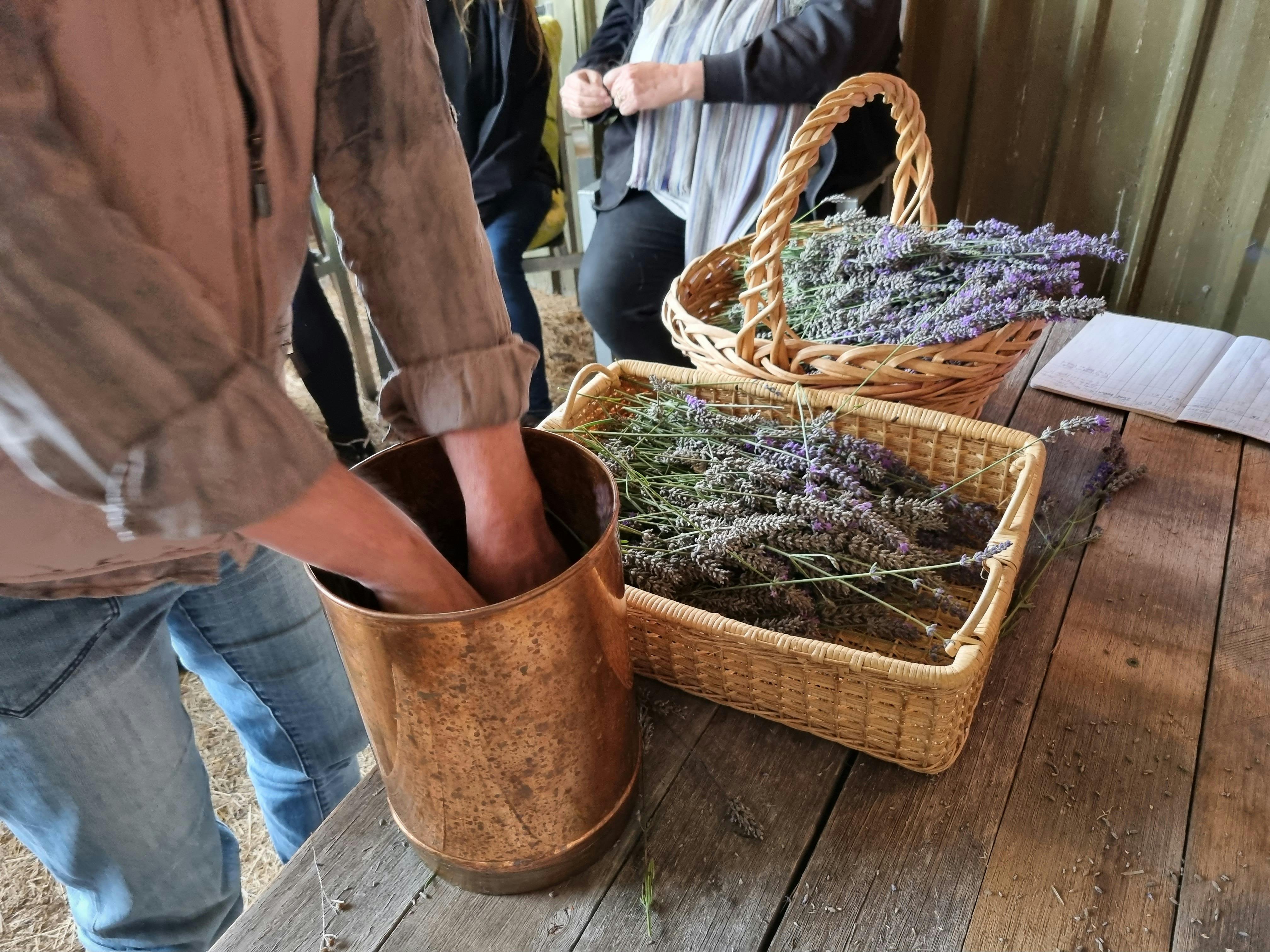 Lavender Goat Farm