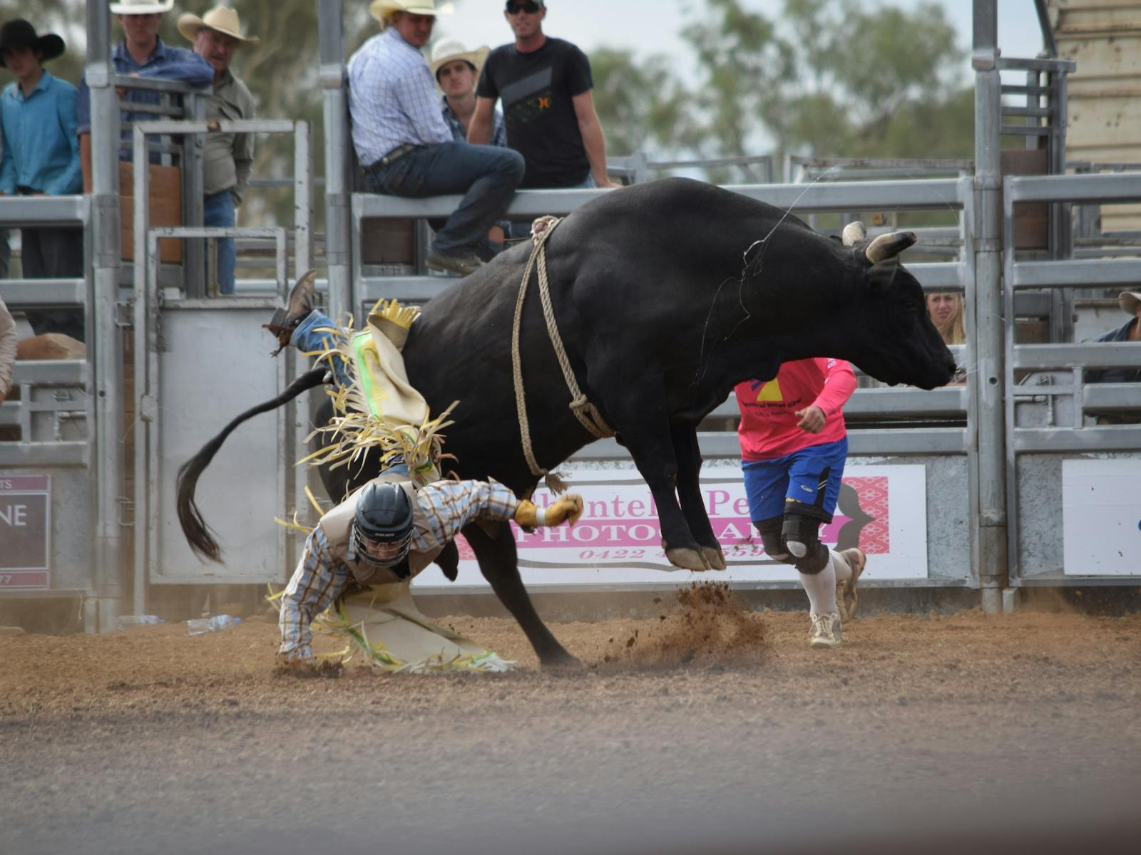 Image for West Wyalong Horse Sports and Rodeo