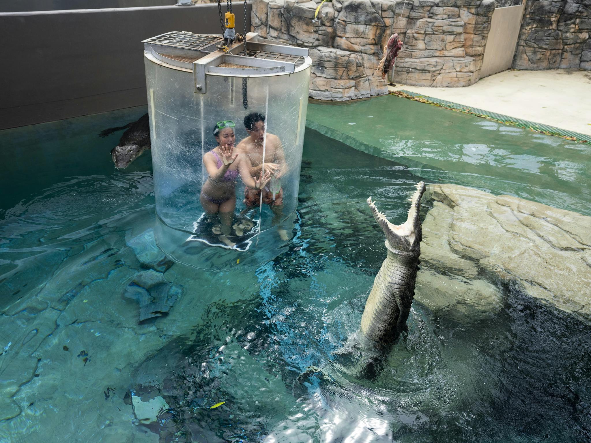 People in the Cage of Death experience at Crocosaurus Cove