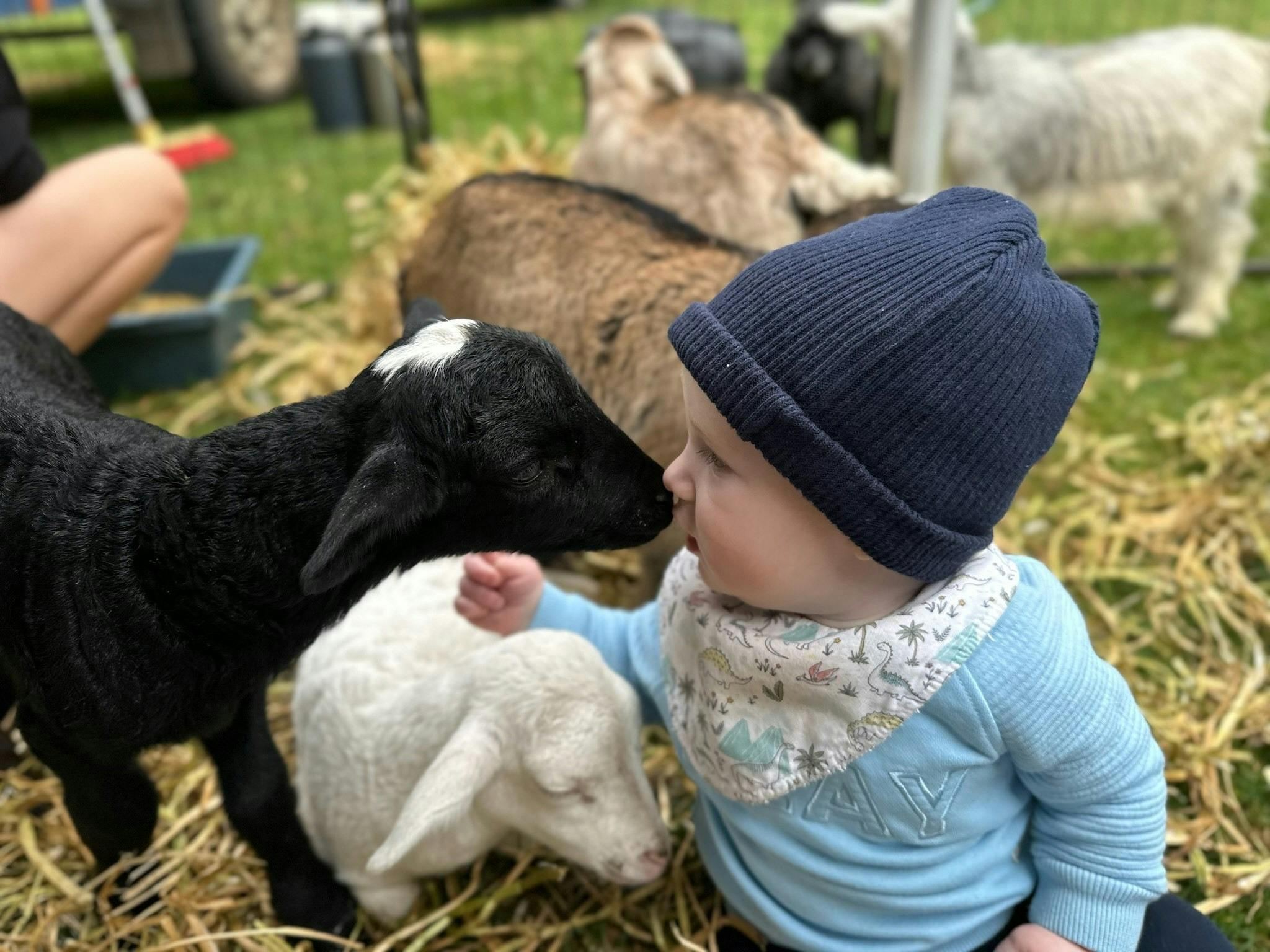 Animal farm on school & public holidays