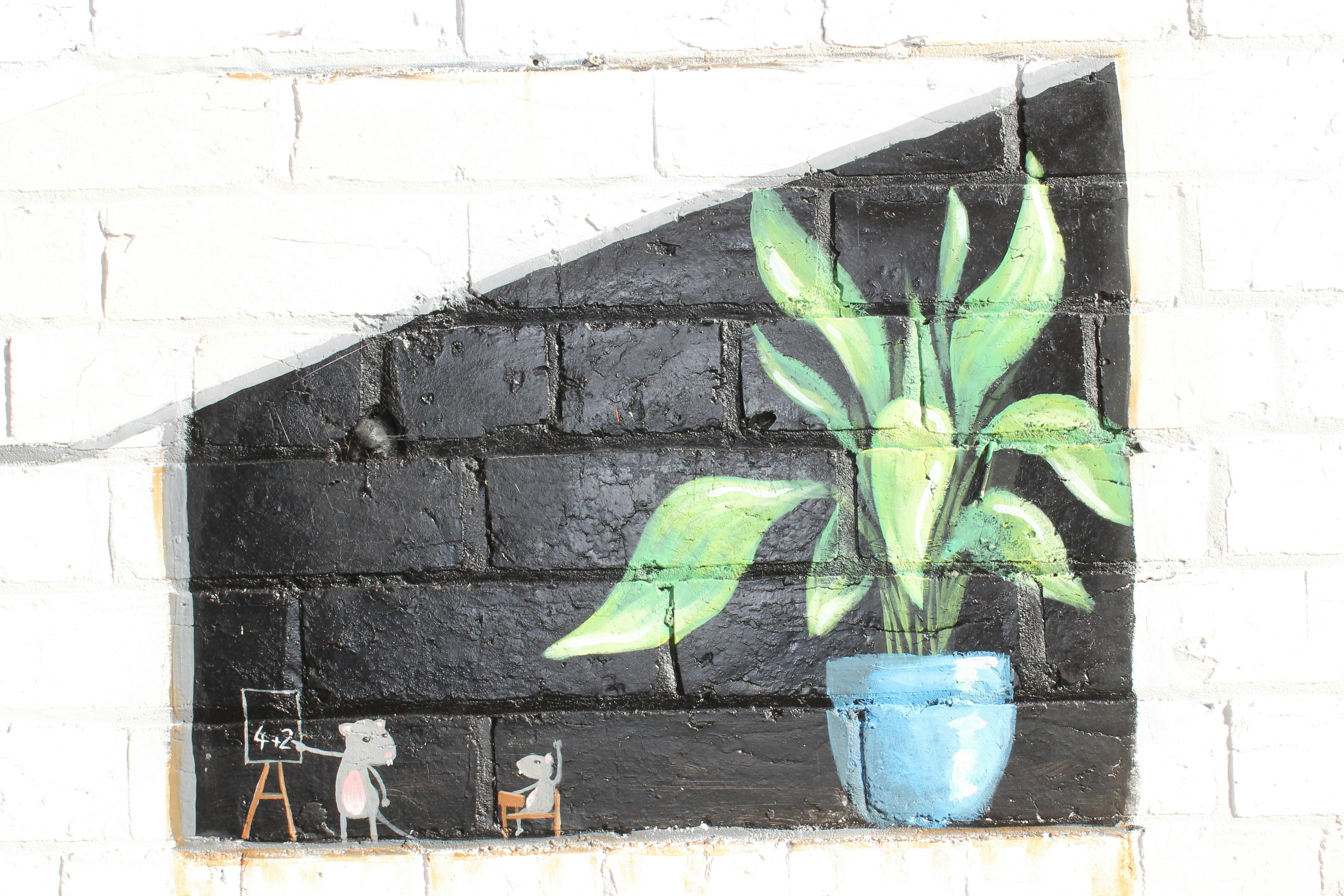 COVID19 Street Art - "Stay the Duck at Home" mural
