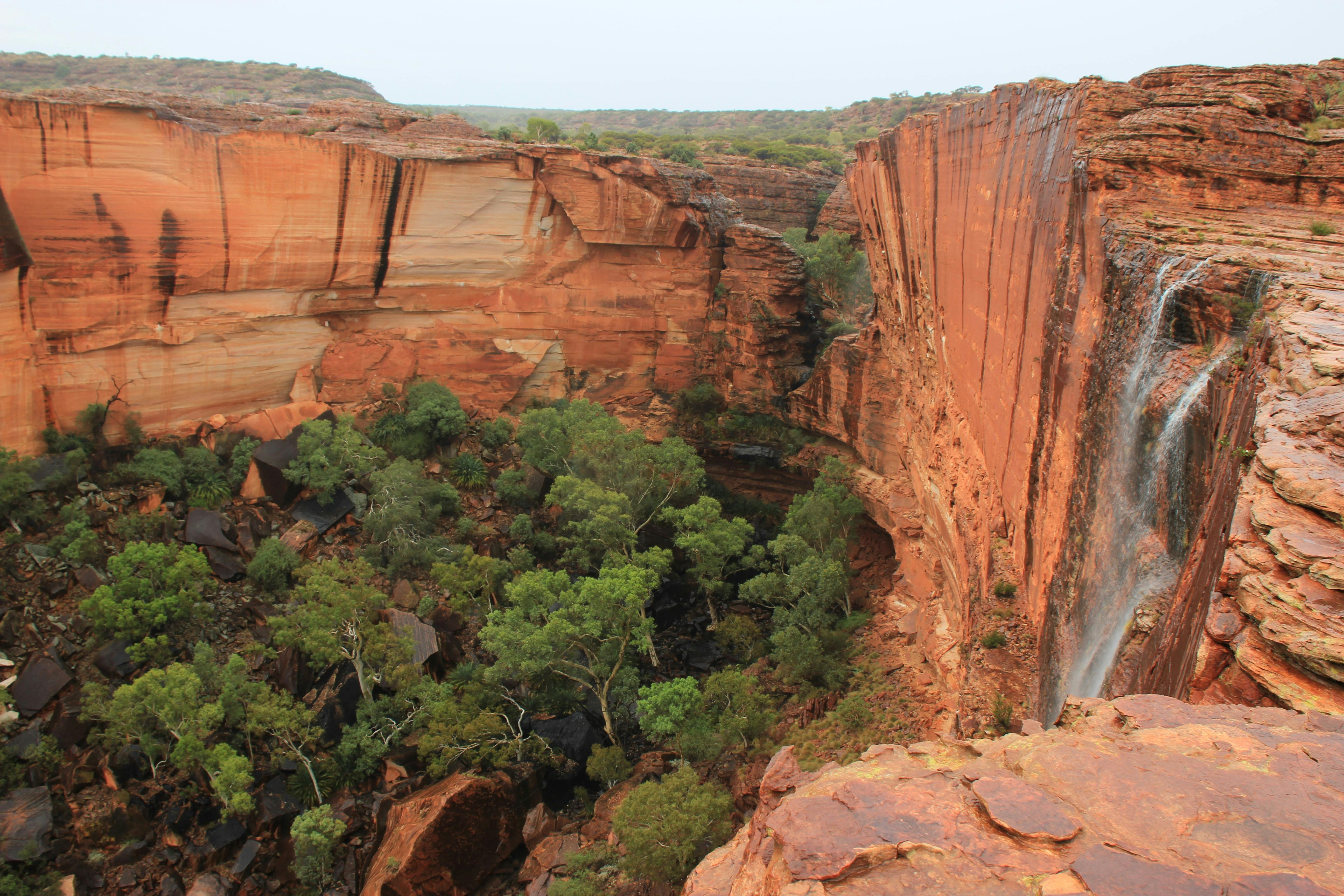 Alice Springs to Kings Canyon Day Tour