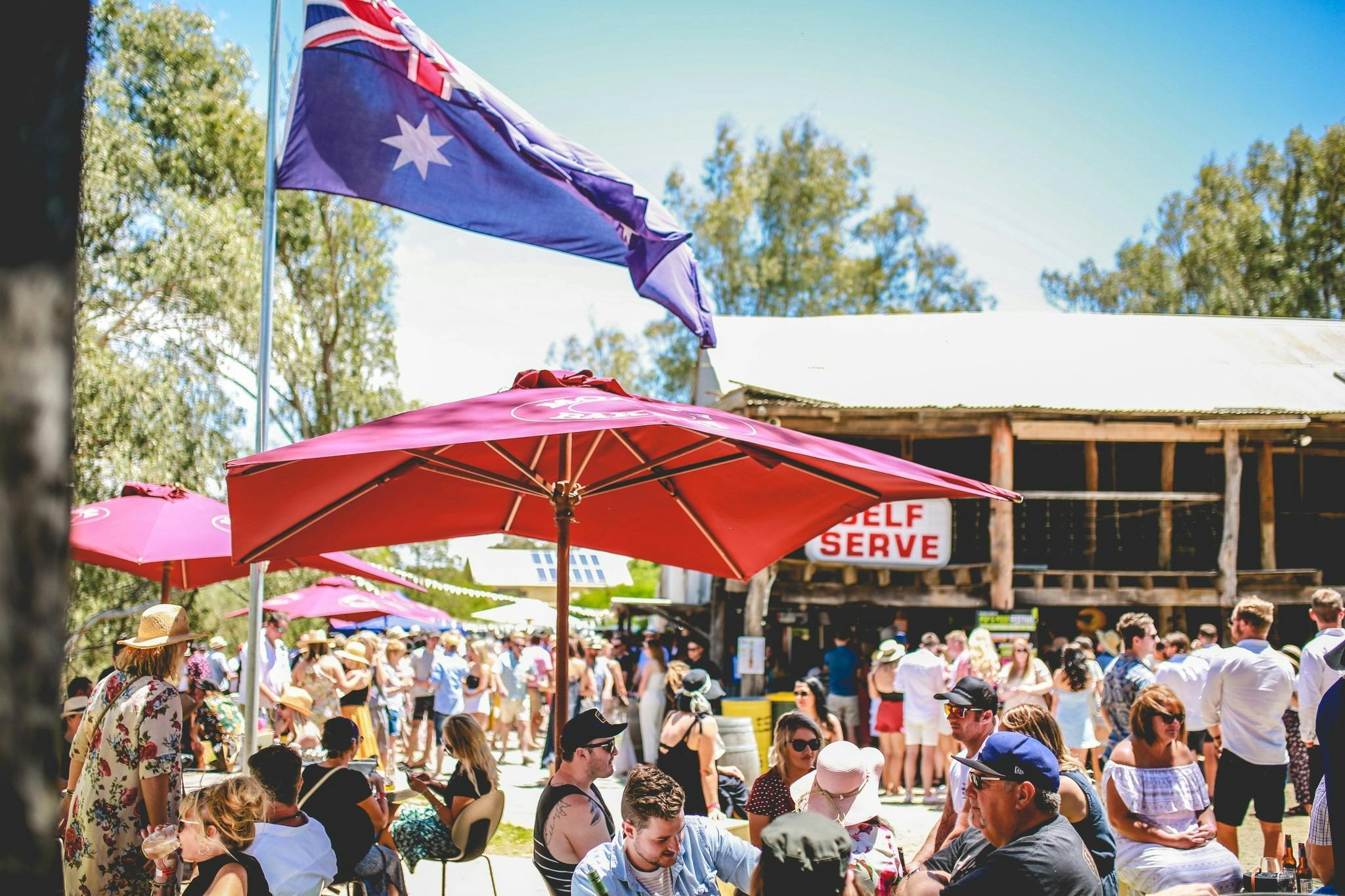 Pop and Pour Festival