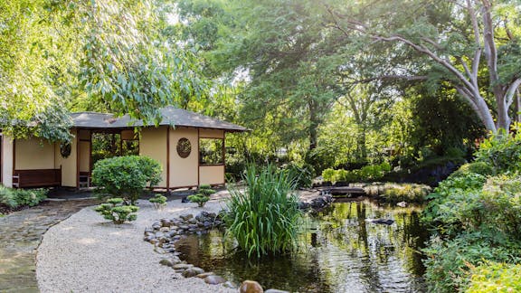 Japanese Gardens at Campbelltown Arts Centre