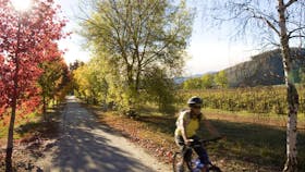 Myrtleford to Porepunkah 24km