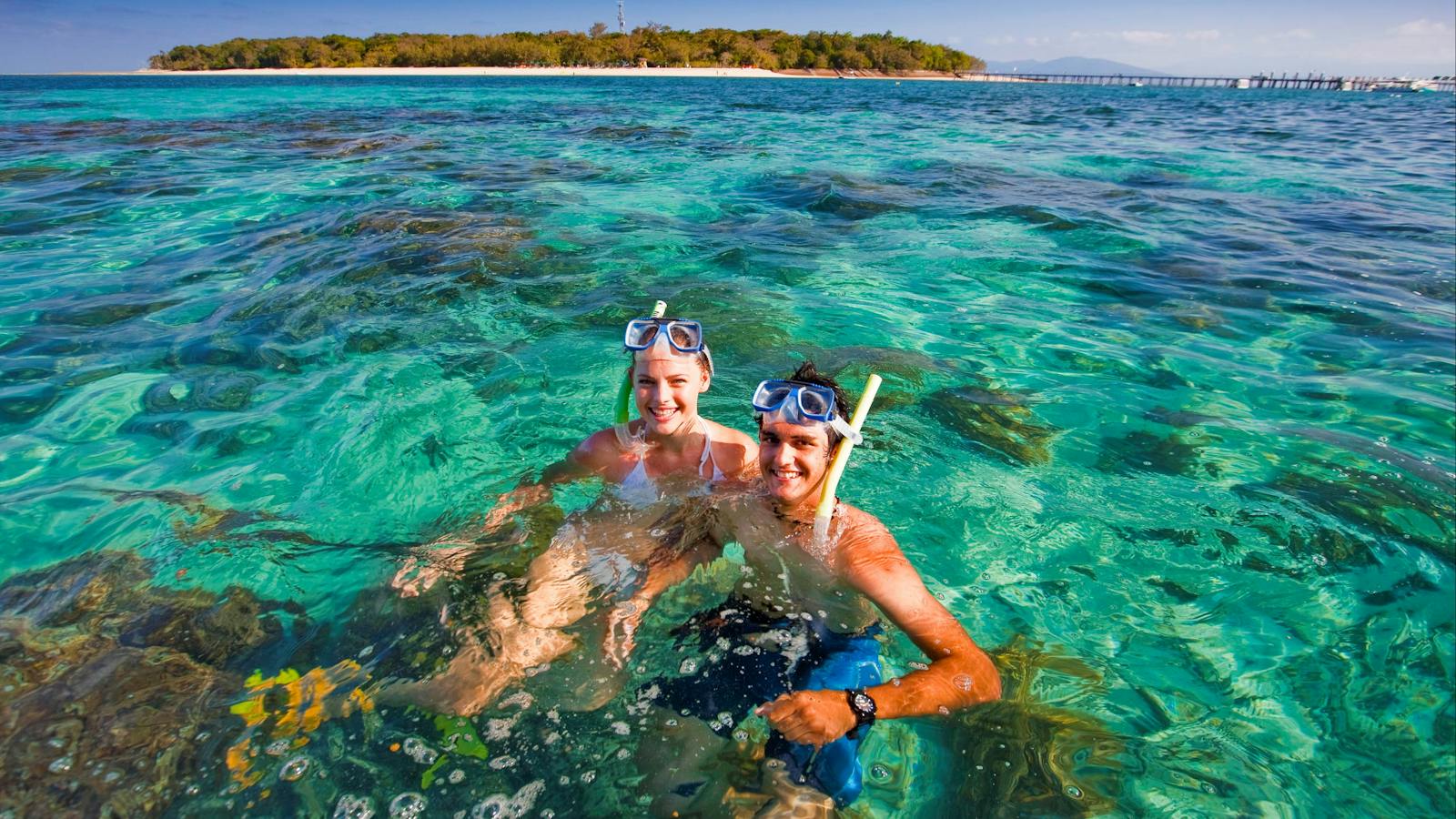 snorkelling reef day tours