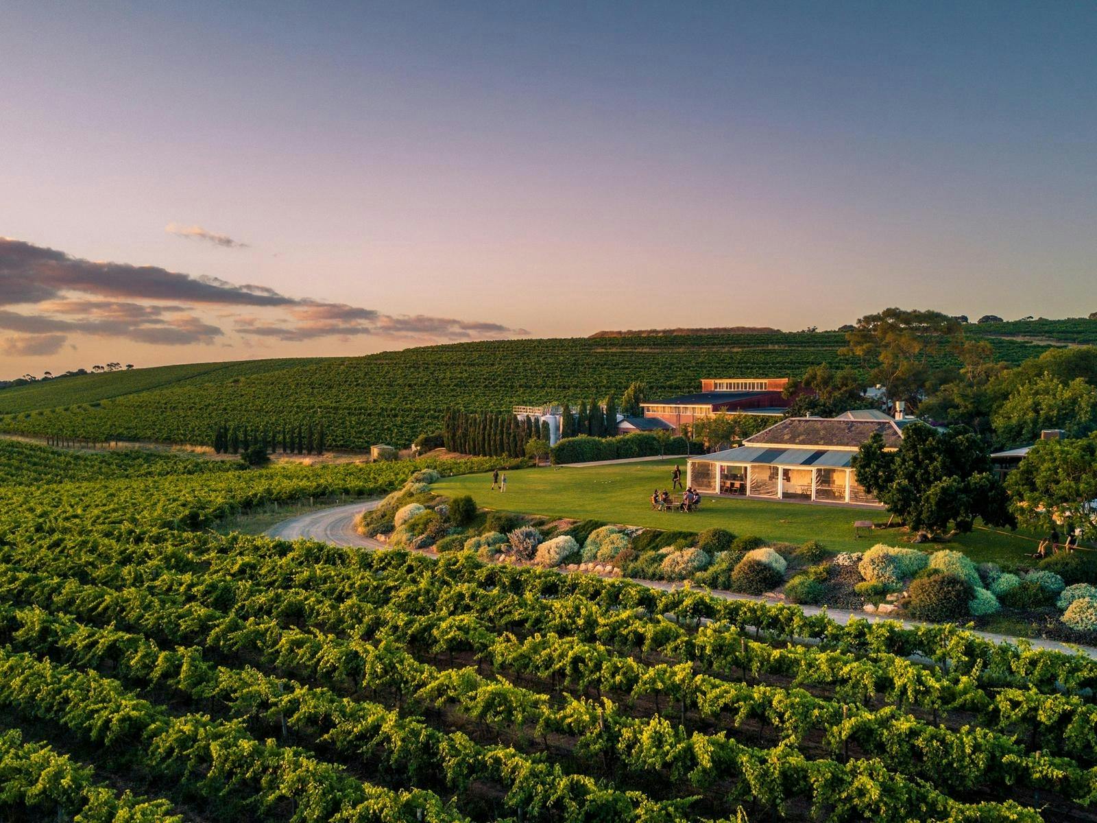 McLaren Vale