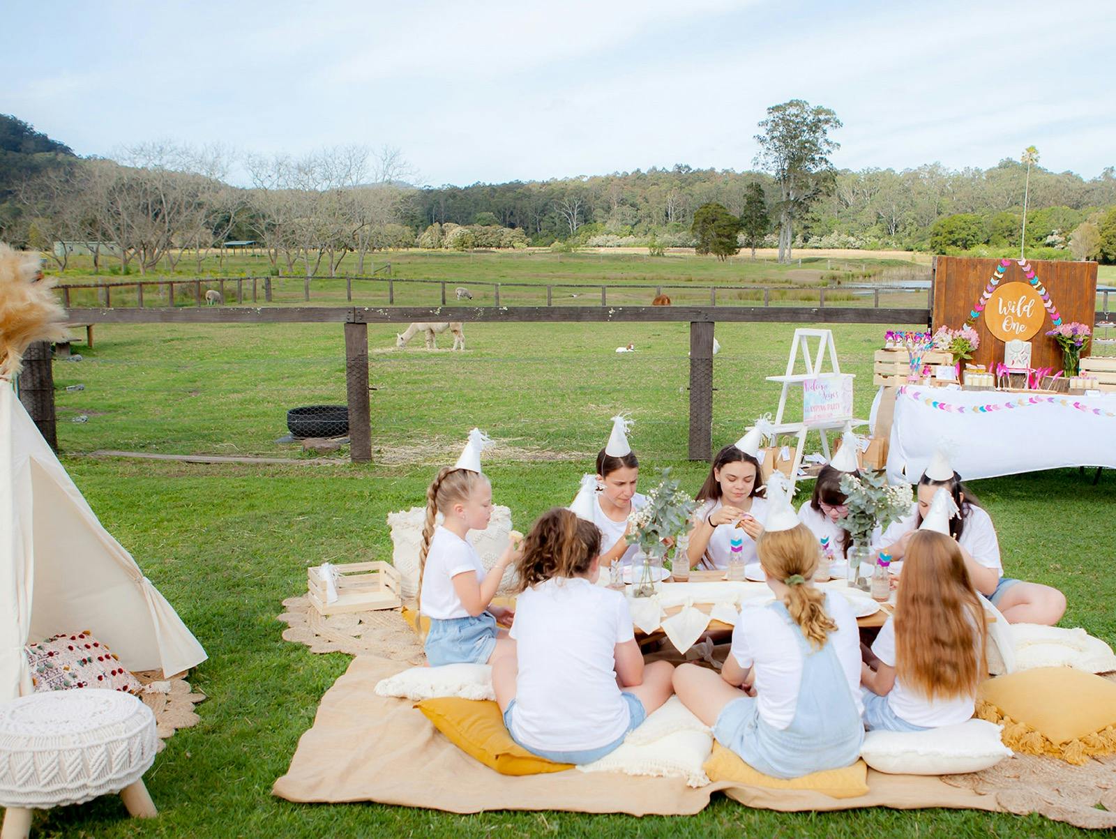 Birthday Party at Mollies Farm