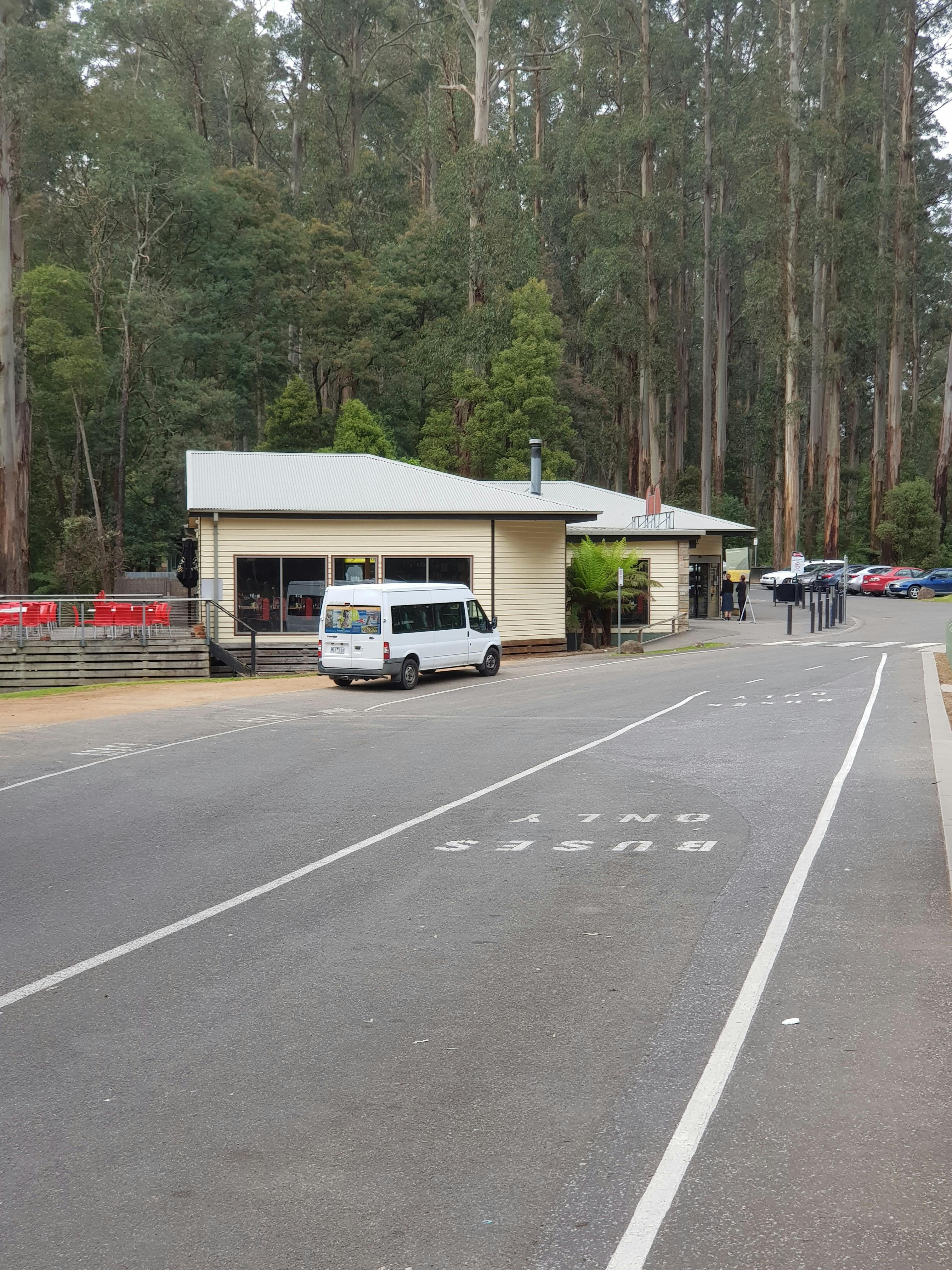Dandenong Ranges