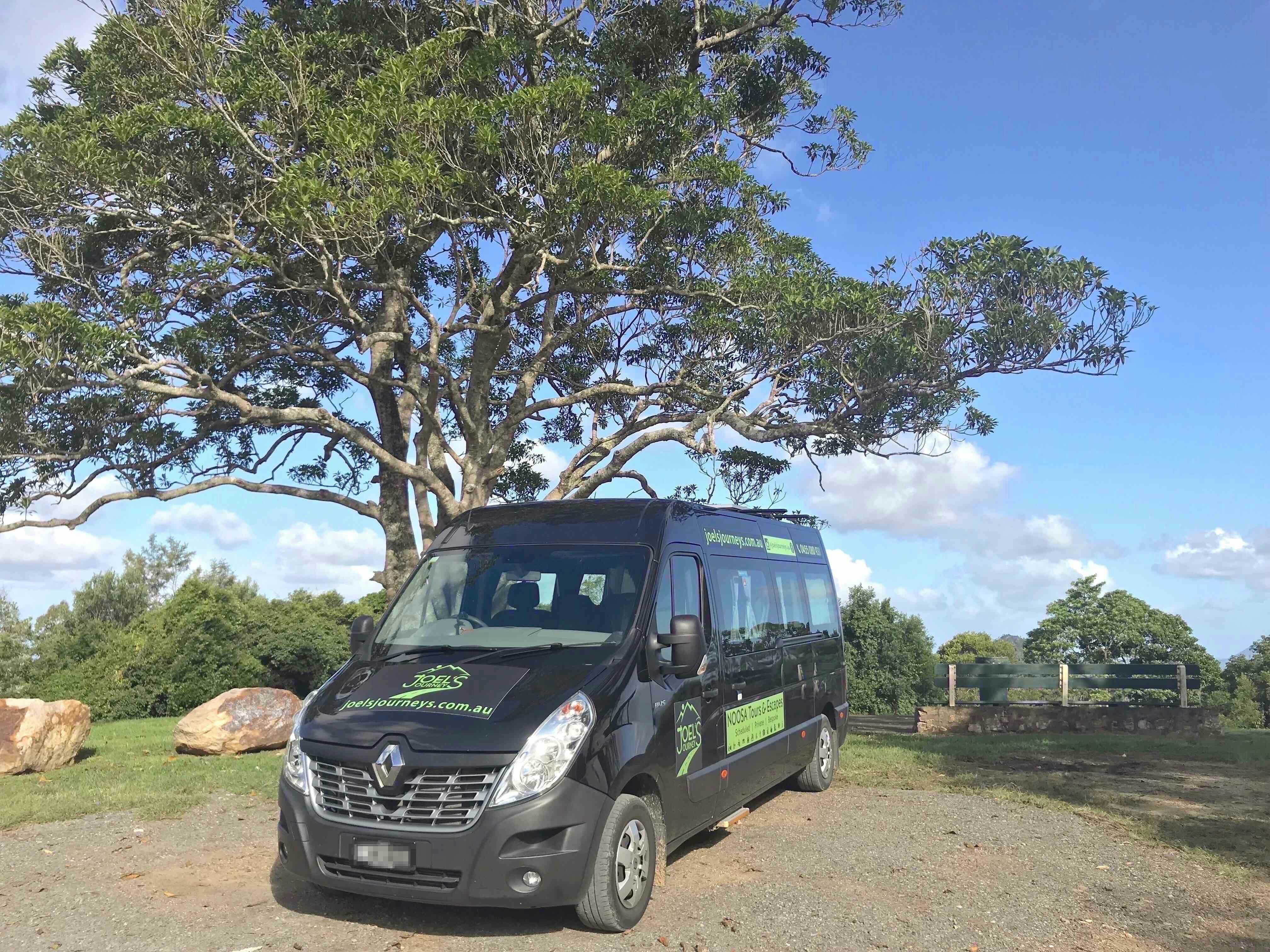 Noosa Everglades and Hinterland Villages Tour with Joel's Journeys