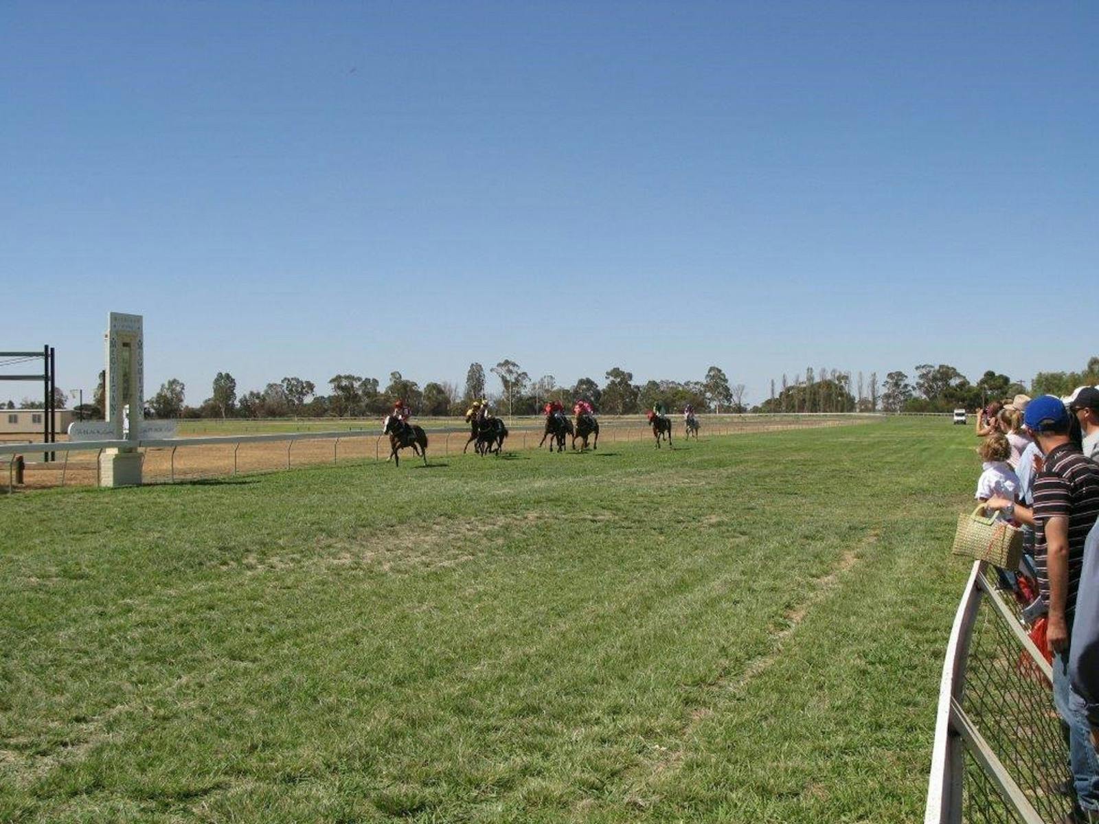Image for Balranald Races -Balranald Cup