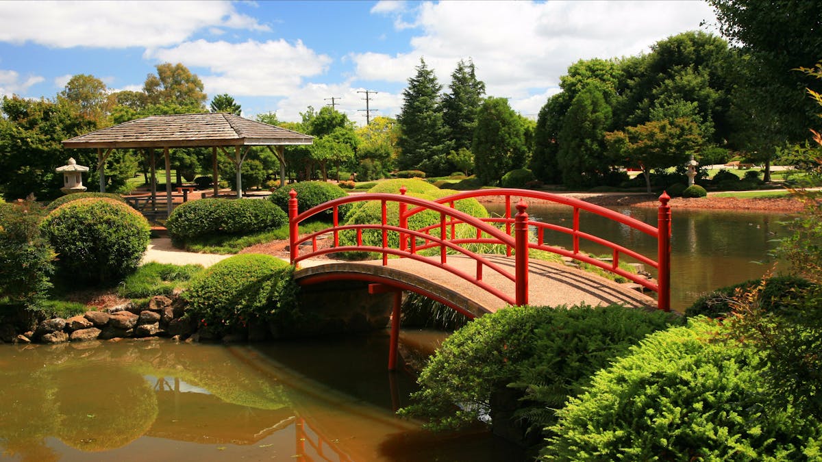 red bridge over water in the Japanese Gardens Toowoomba