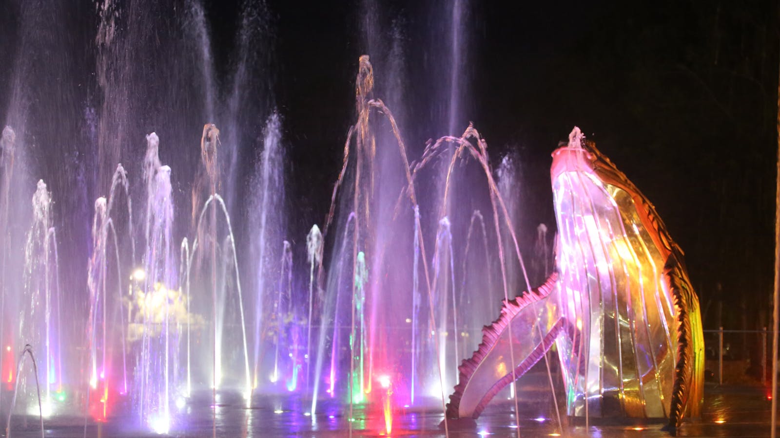 WetSide Light Show Spectacular