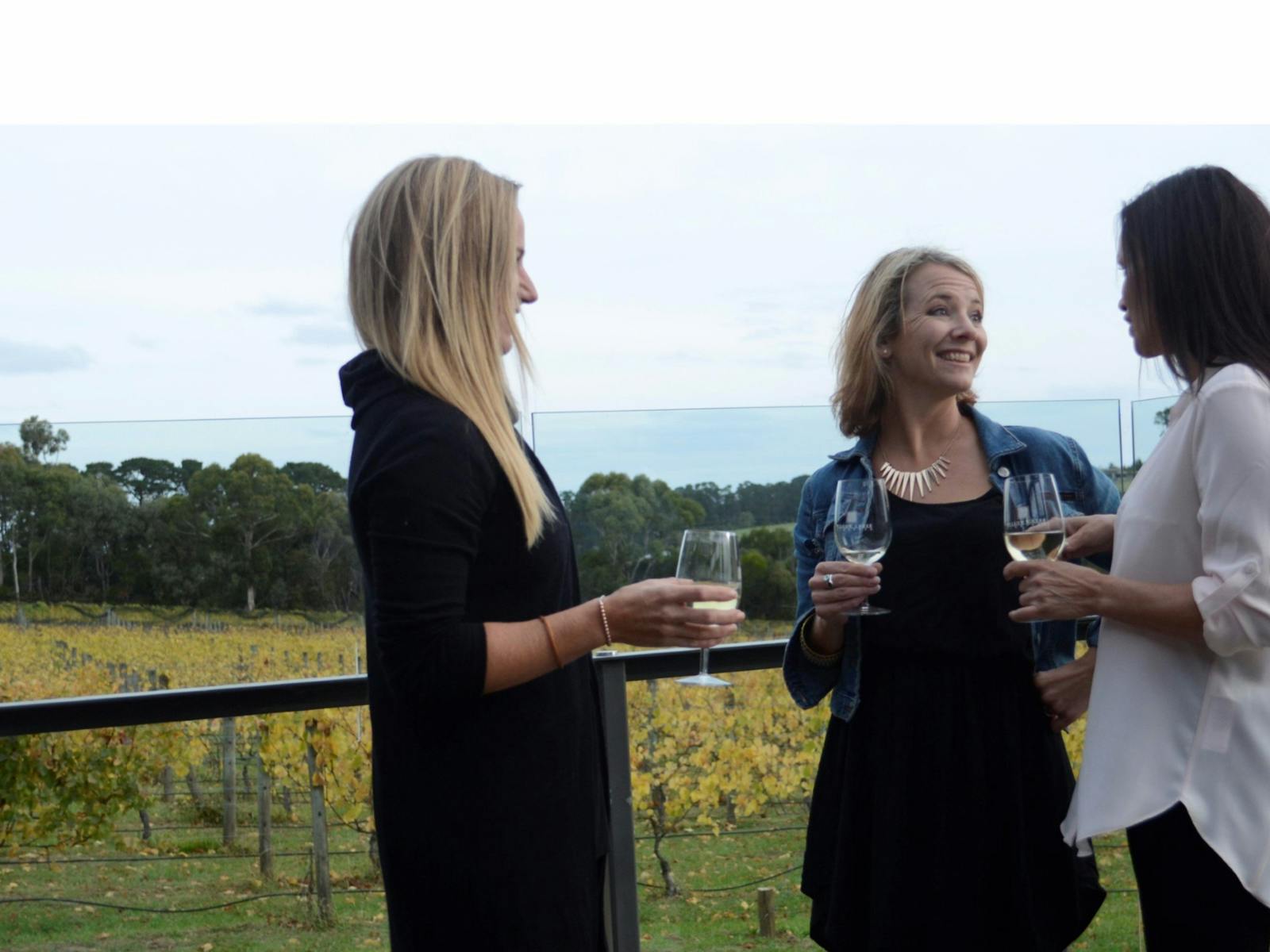 Plunge Tours taste wines far from the madding crowd