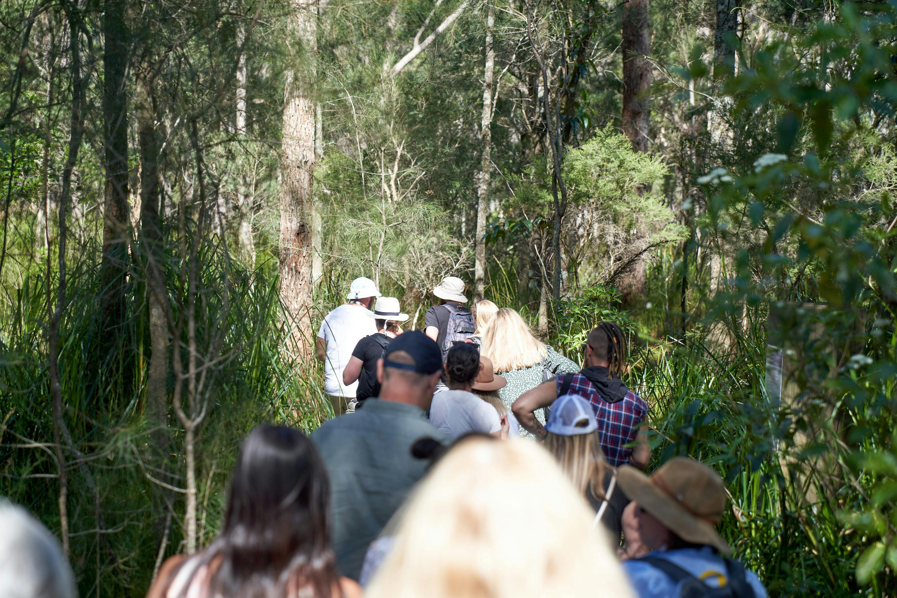 Bushfood and cultural knowledge walk group walking through the bush